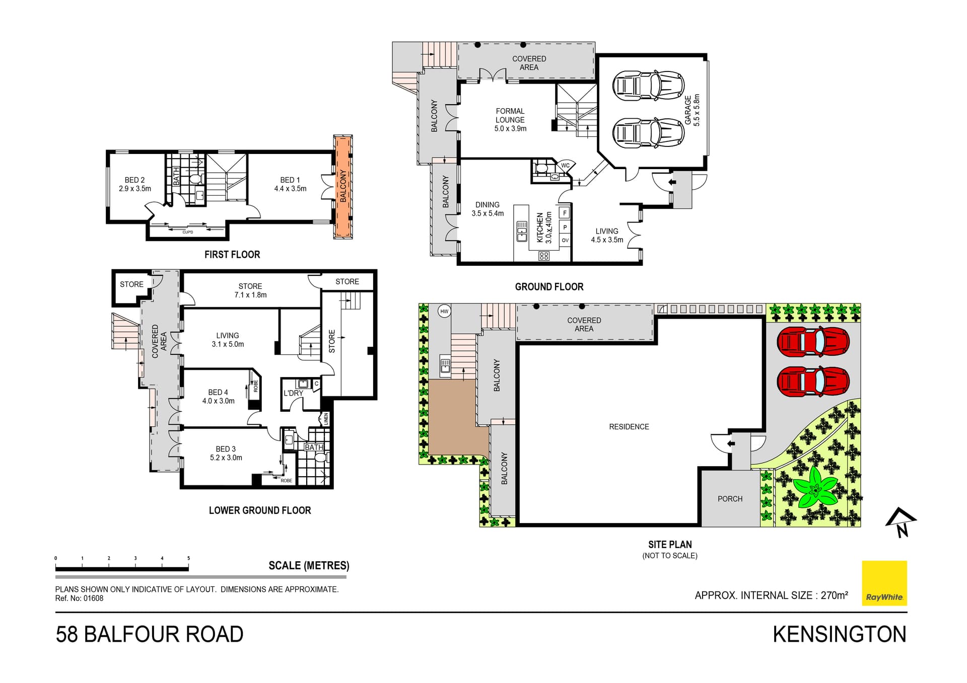 58 Balfour Road, Kensington NSW