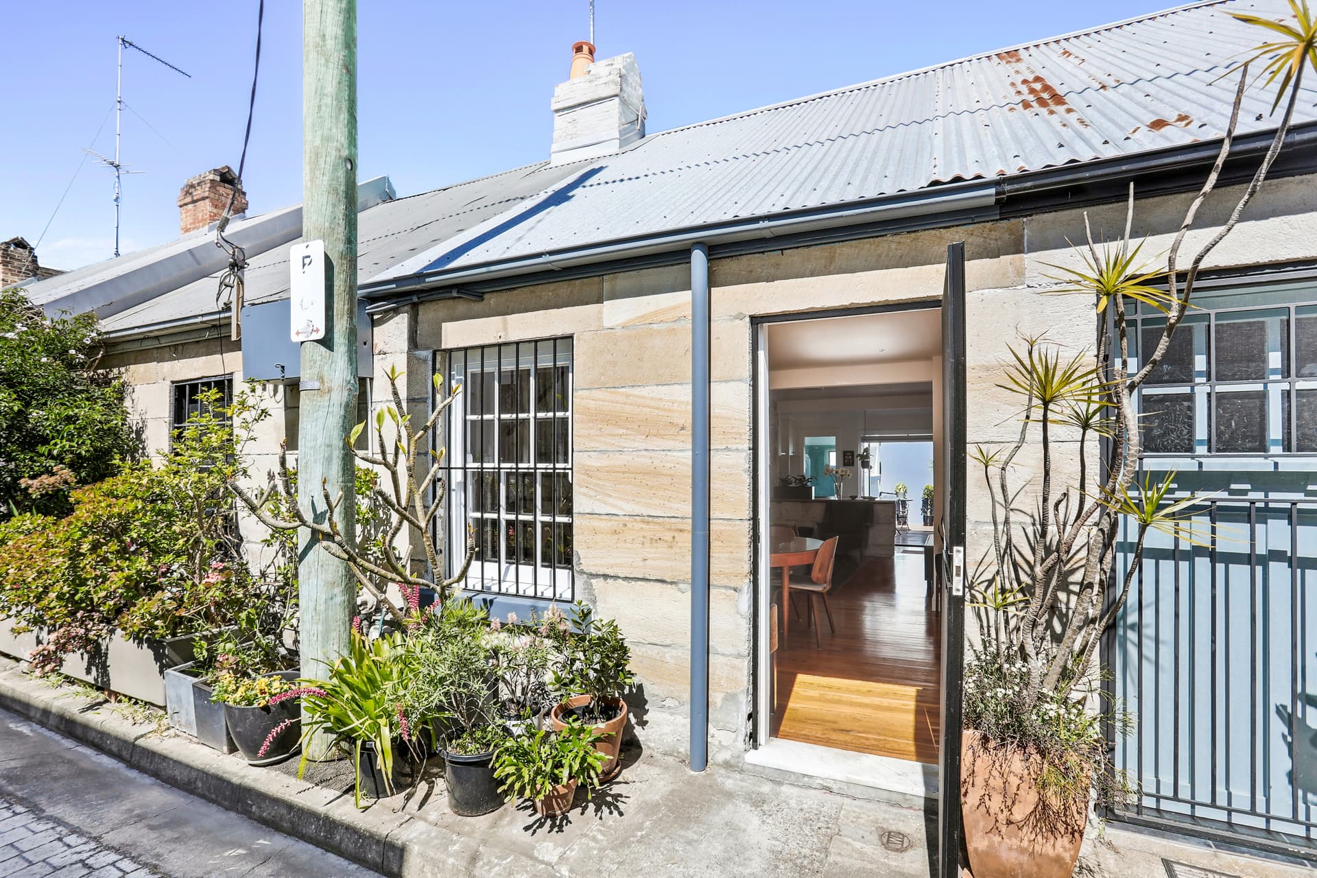 10 McElhone Place, Surry Hills NSW