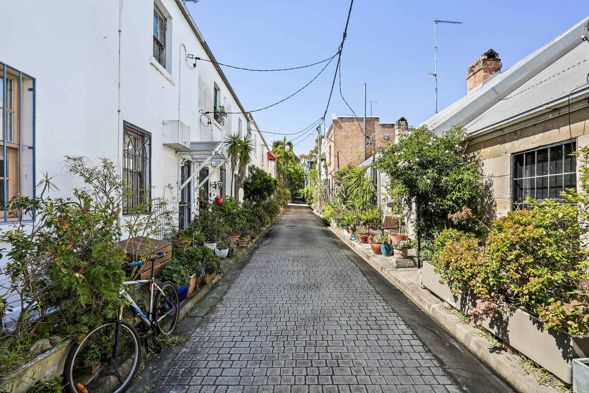 10 McElhone Place, Surry Hills NSW