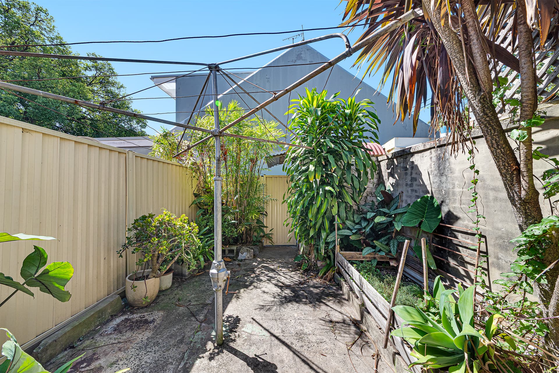 133 Young Street, Redfern NSW
