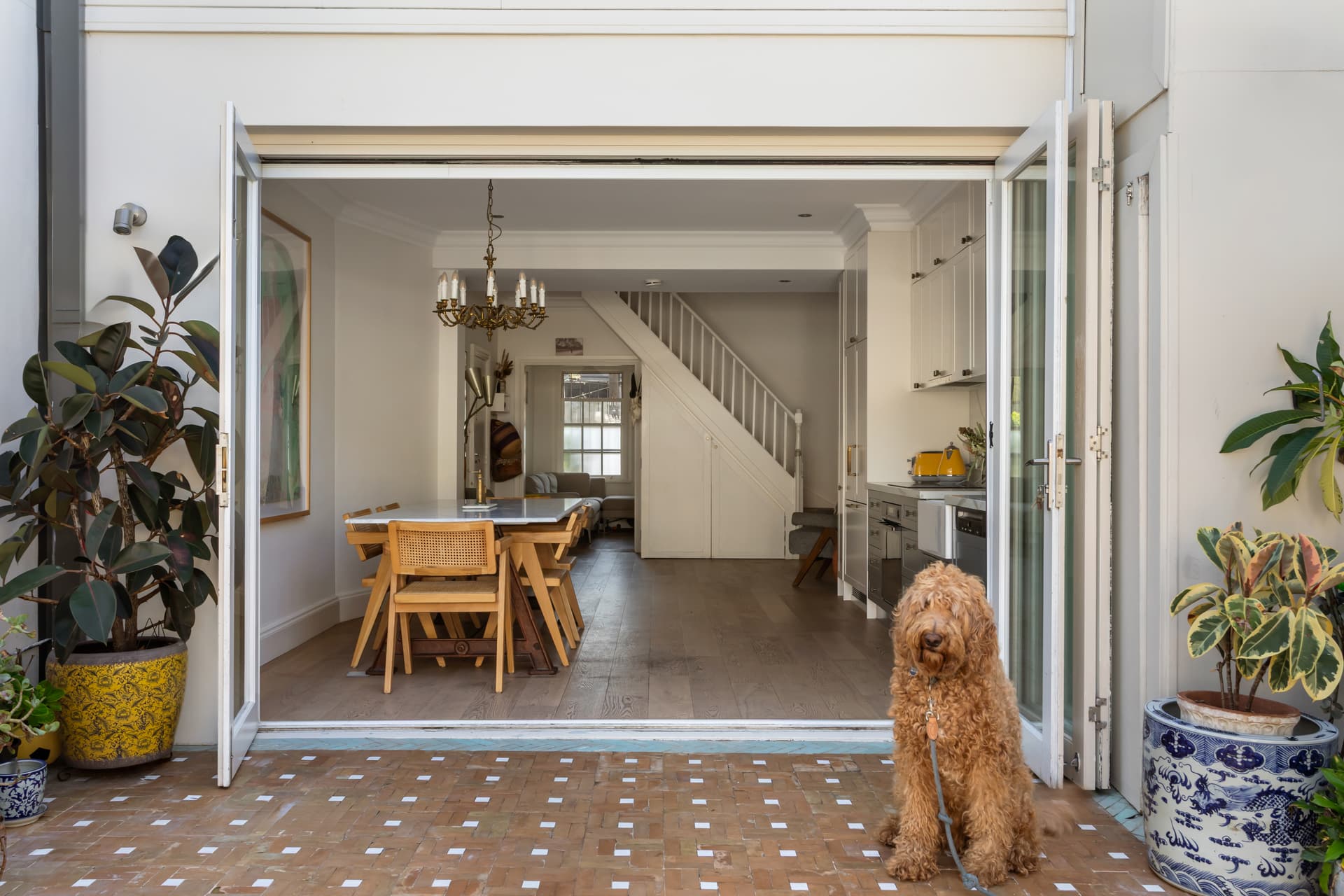 57 Phelps Street, Surry Hills NSW