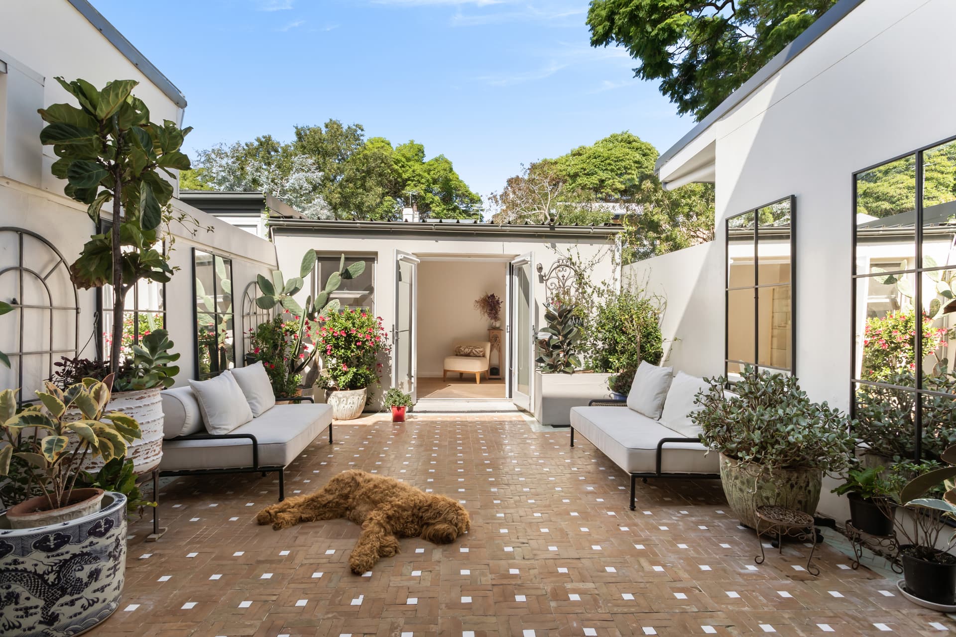 57 Phelps Street, Surry Hills NSW