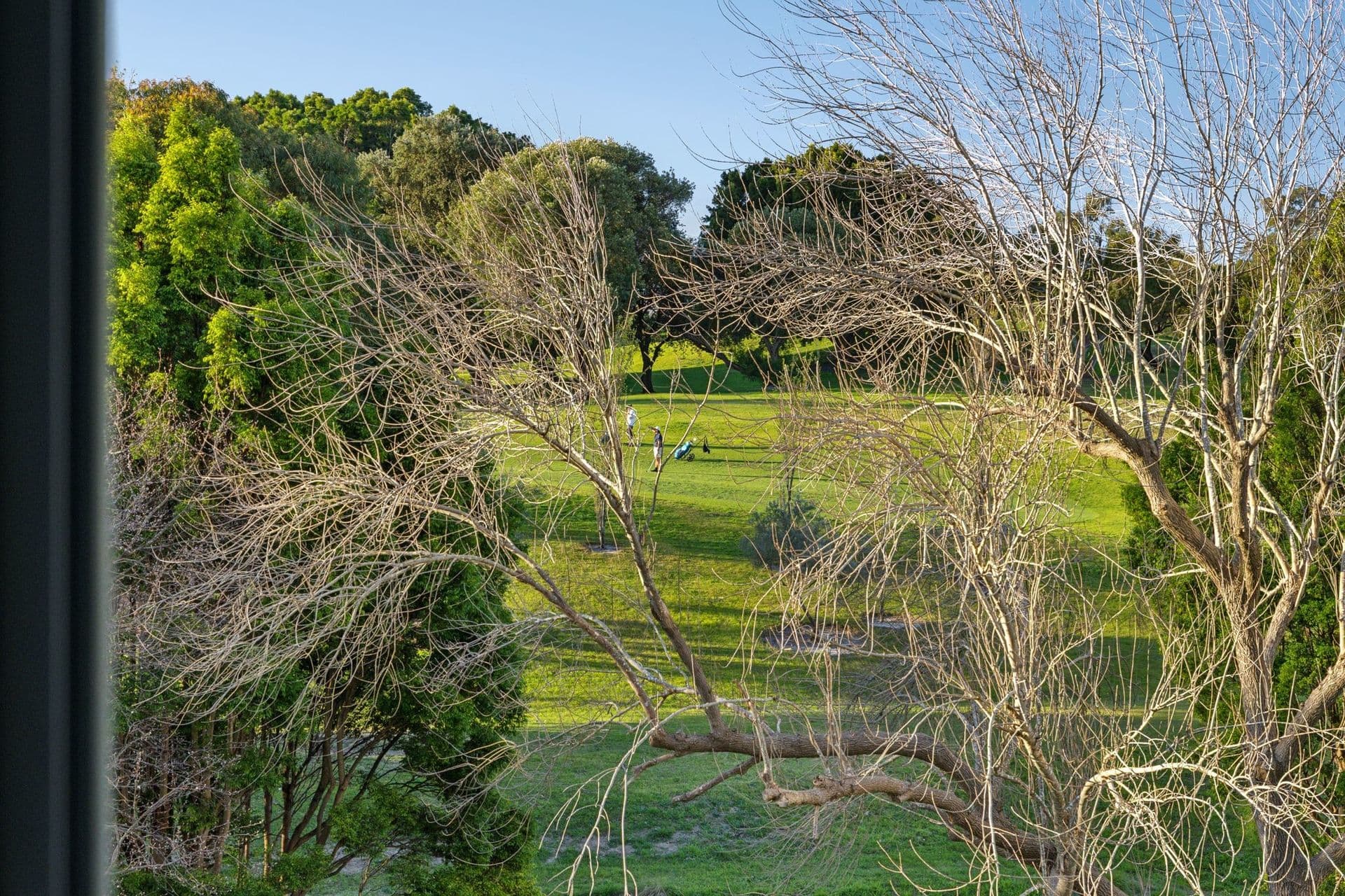 407/93 Brompton Road, Kensington NSW