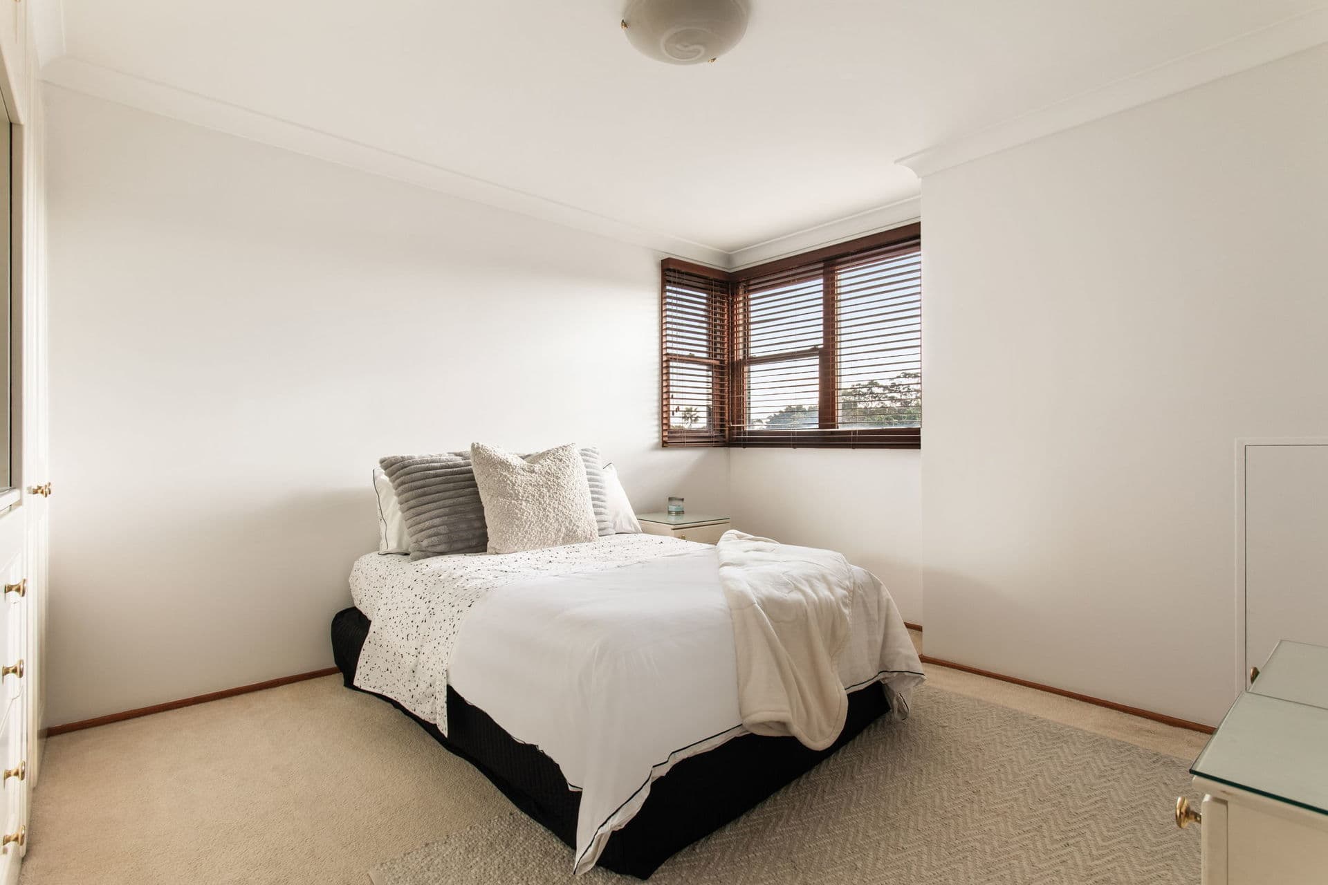 19 Aboud Avenue, Kingsford NSW