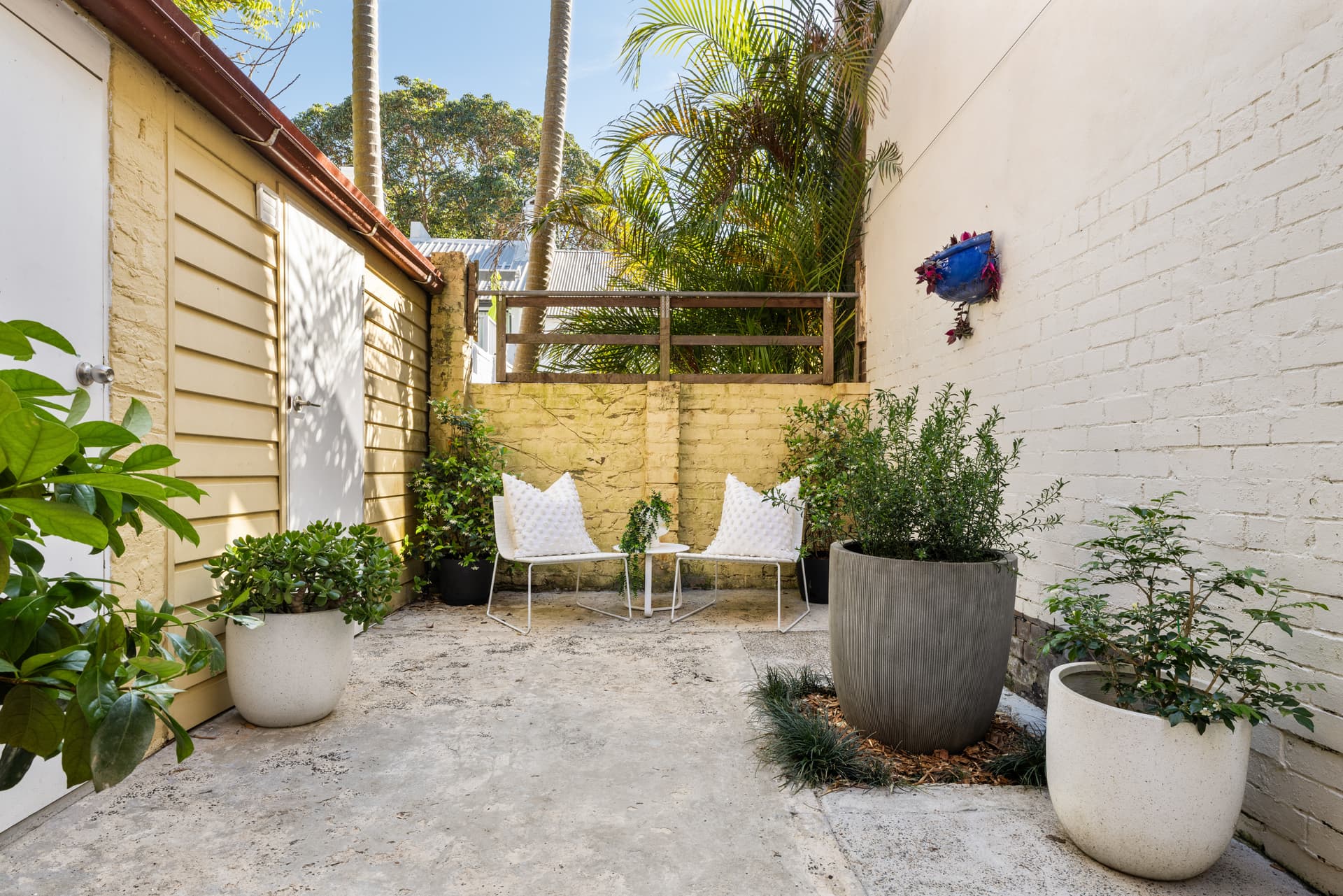 20 Rainford Street, Surry Hills NSW