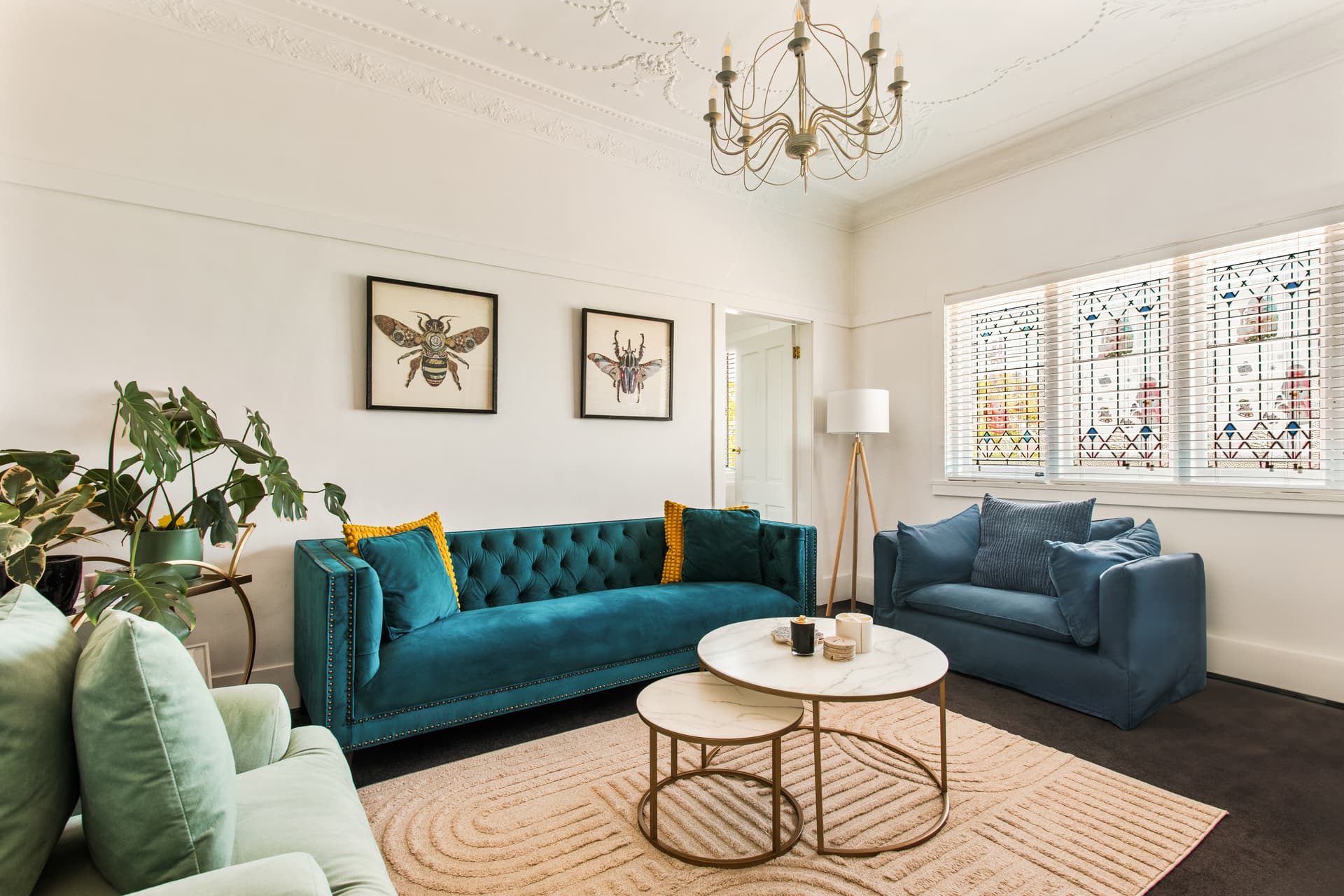 3/5 Hardiman Avenue, Randwick NSW