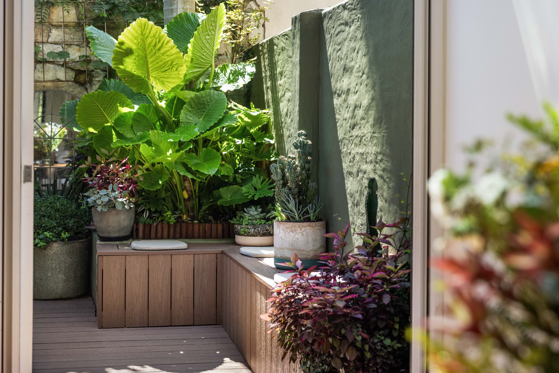 86 Ann Street, Surry Hills NSW