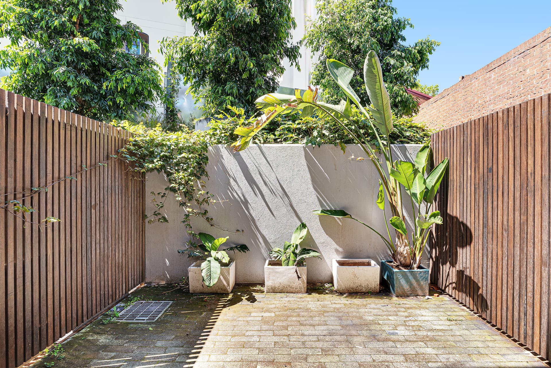 10 Rose Terrace, Paddington NSW