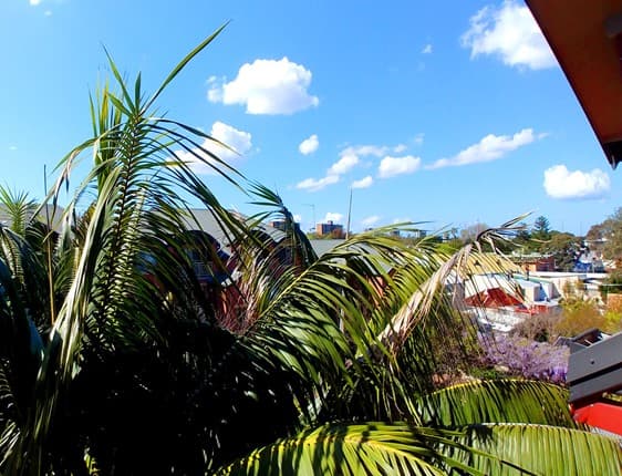 6/41 Pitt Street, Redfern NSW