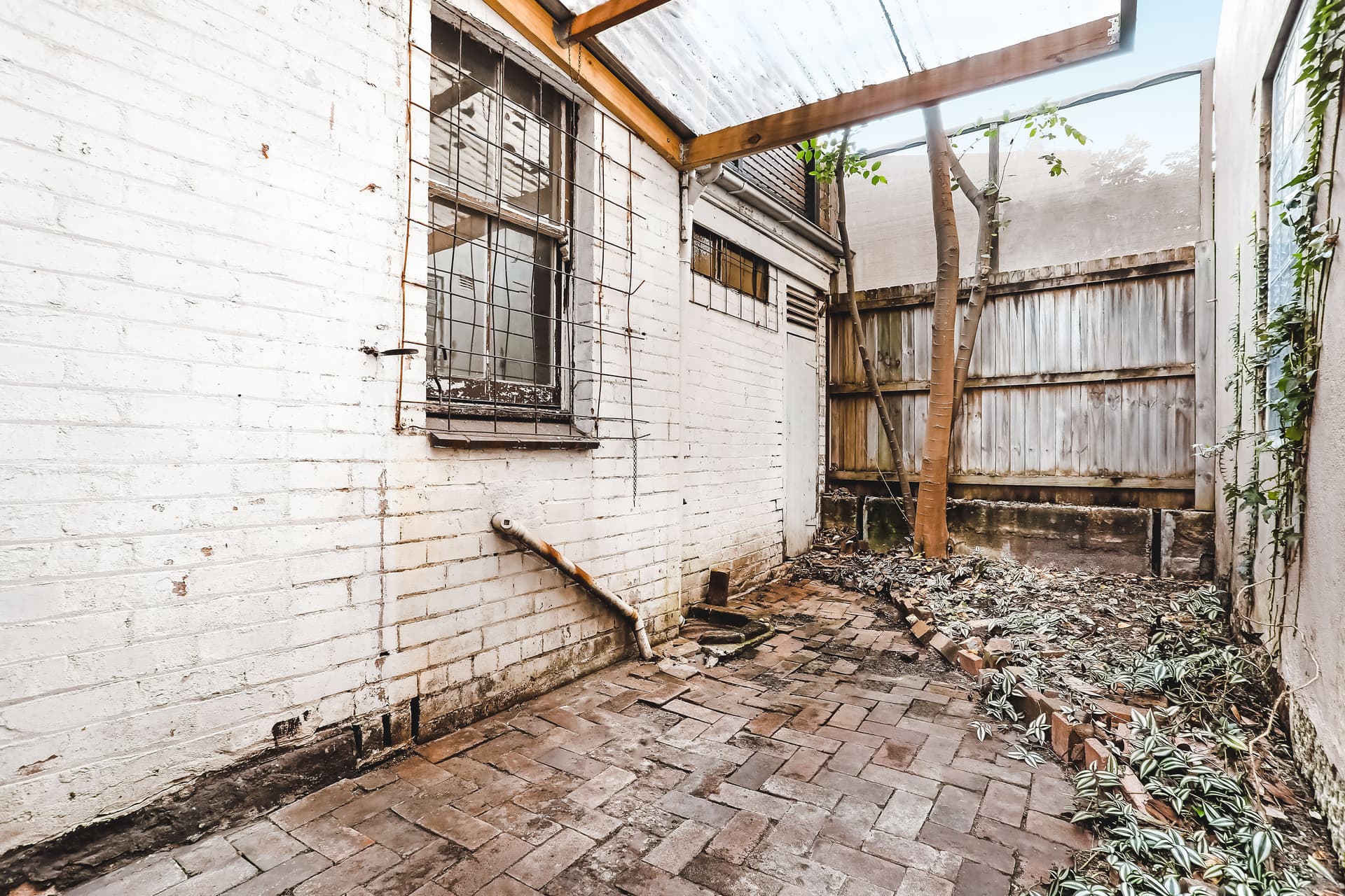 1a Short Street, Redfern NSW