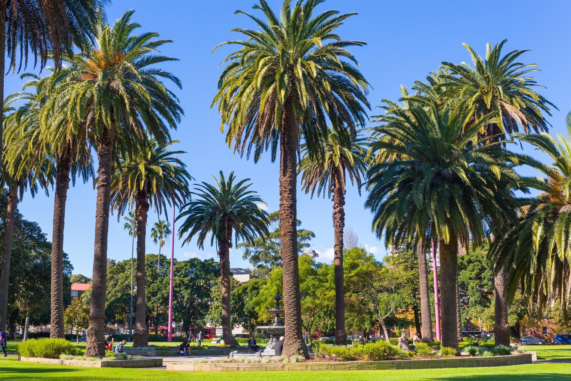 502/1 Marian Street, Redfern NSW