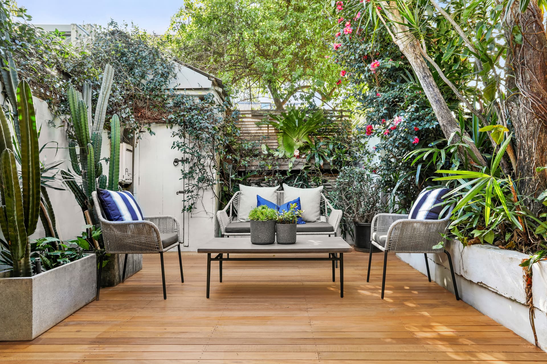 26 Chelsea Street, Redfern NSW