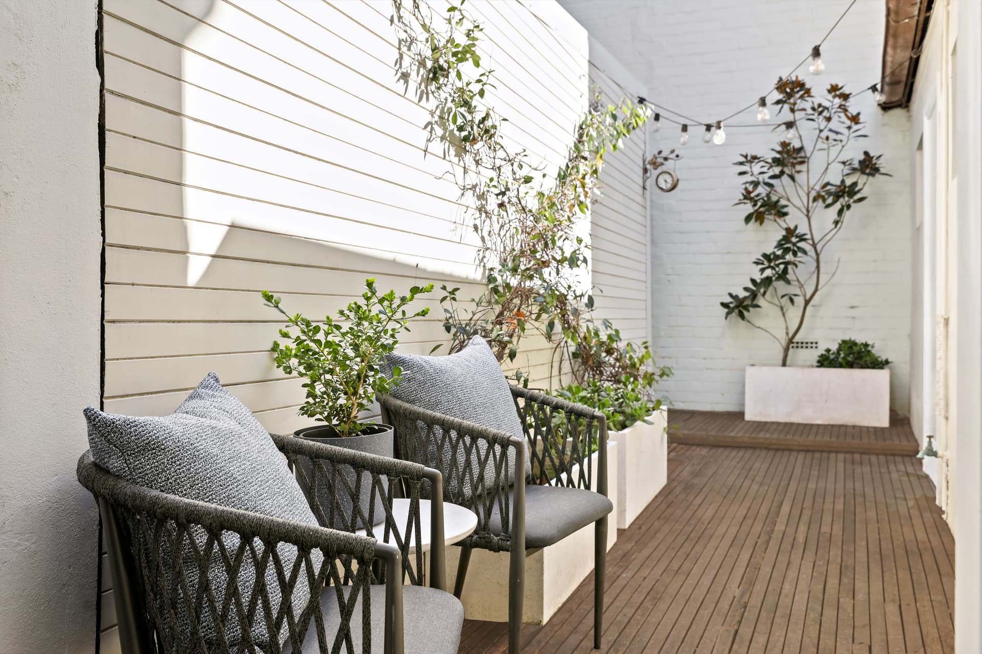 559 Bourke Street, Surry Hills NSW