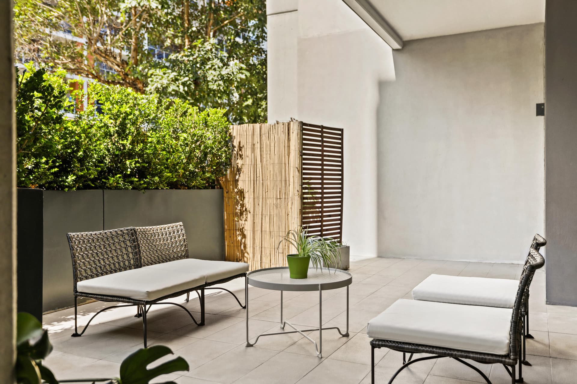 3106/2 Rothschild Avenue, Rosebery NSW