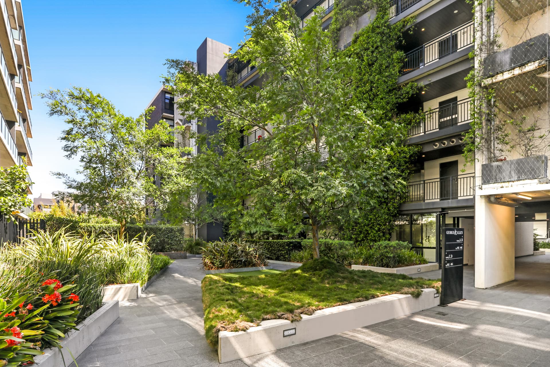 3G/356 George Street, Waterloo NSW