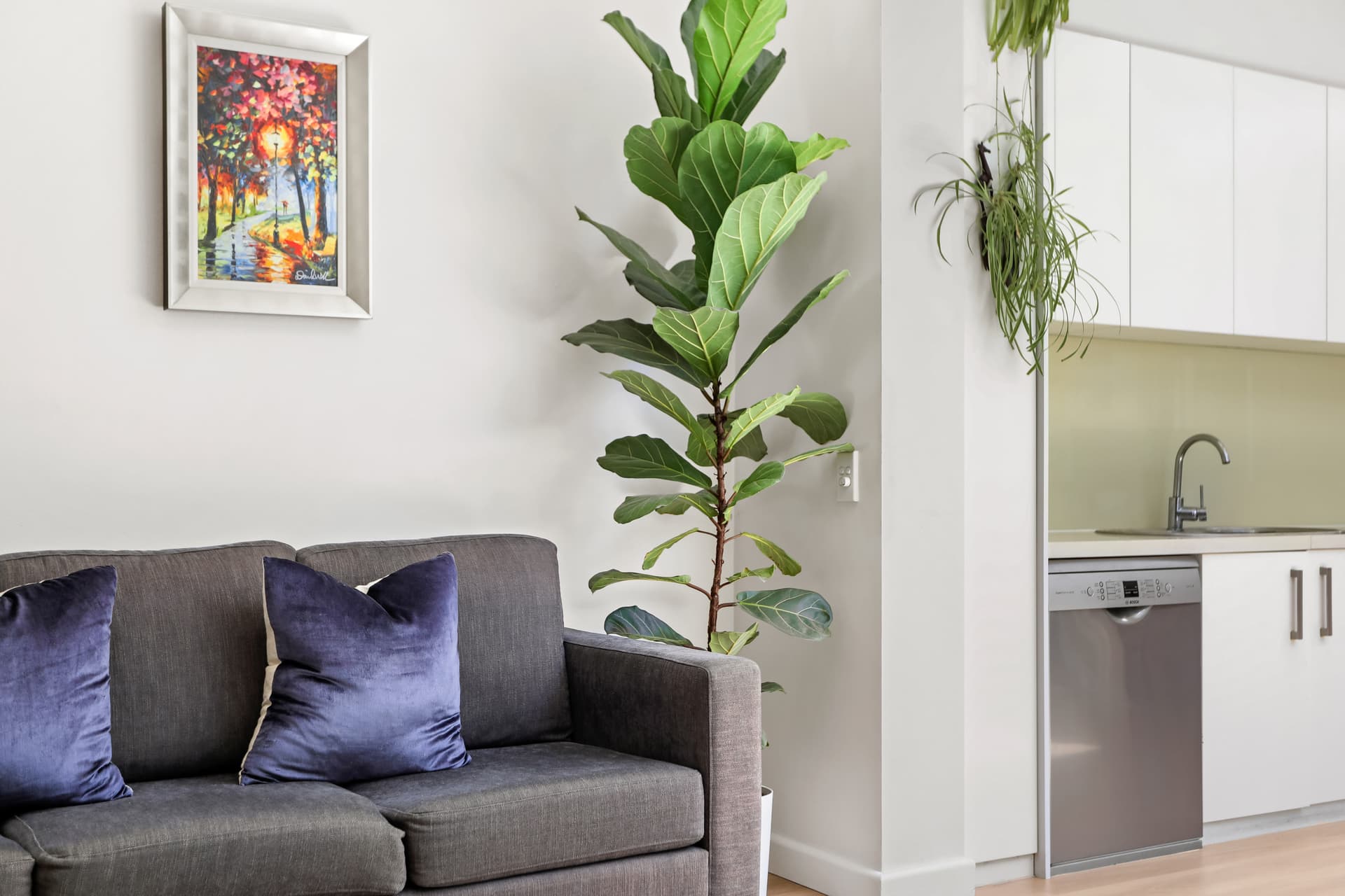 50 Burnett Street, Redfern NSW