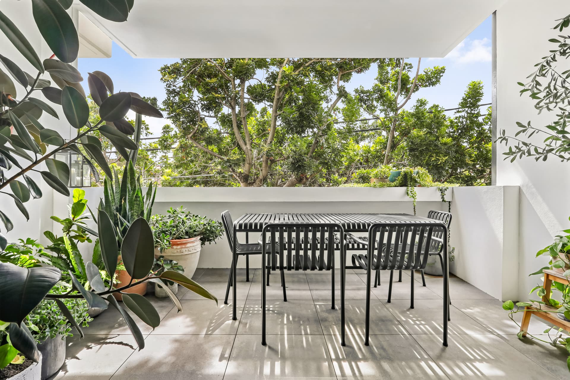 101/3 Ralph Street, Alexandria NSW