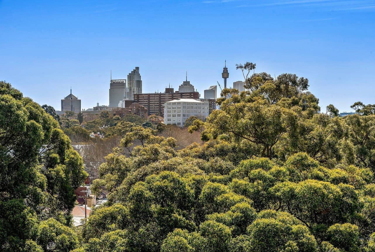 5003/859 Bourke Street, Waterloo NSW