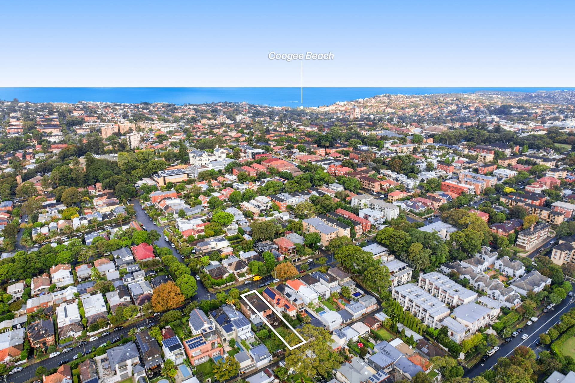 54 Wentworth Street, Randwick NSW