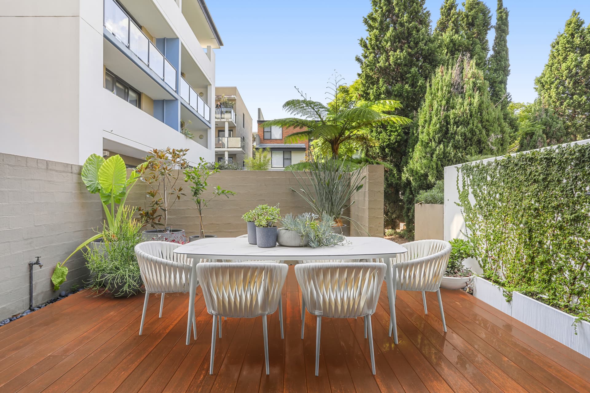2 Morris Grove, Zetland NSW