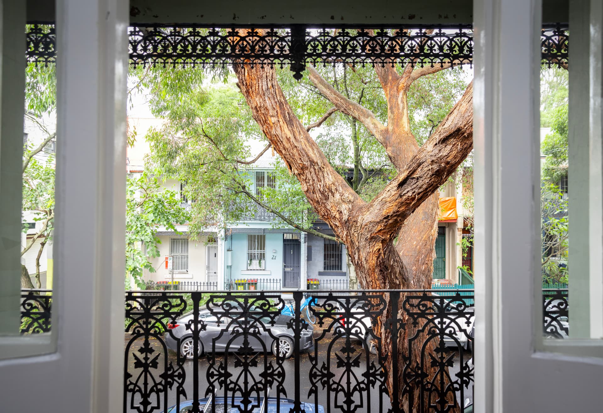 22 Calder Road, Darlington NSW