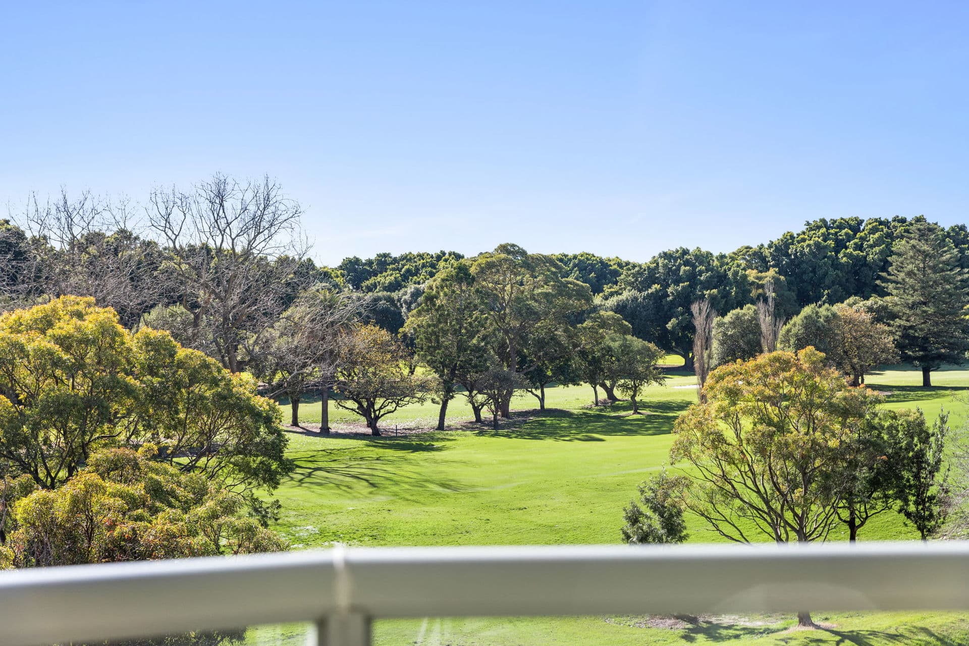 501/7 Black Lion Place, Kensington NSW