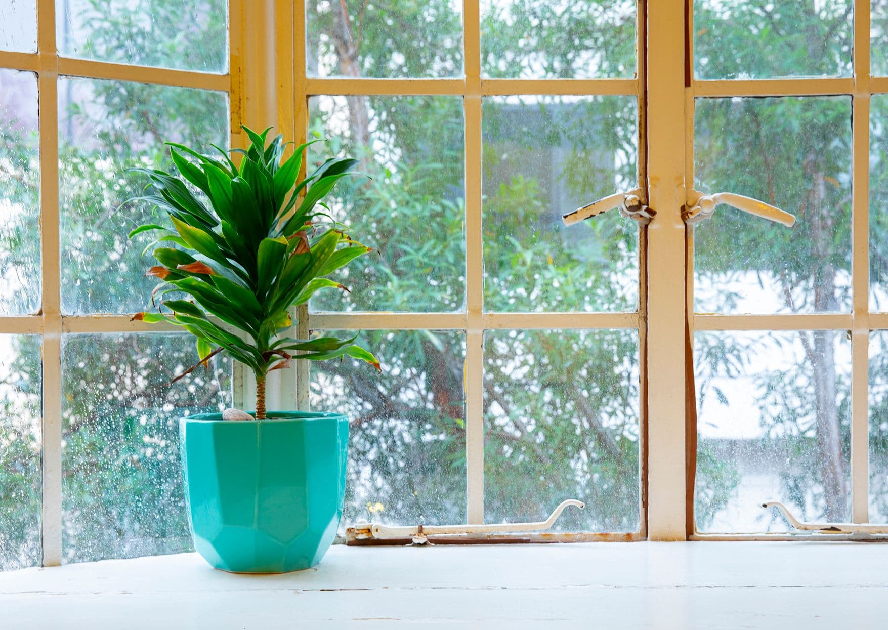 5/40 Hardie Street, Darlinghurst NSW