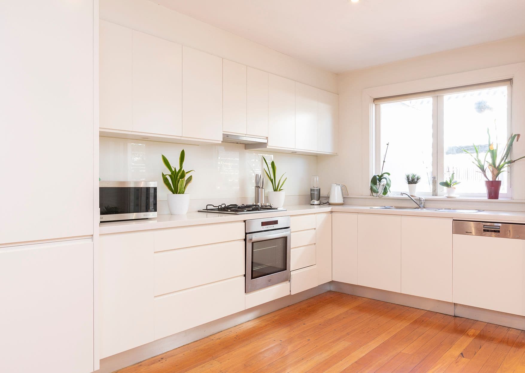 453 Cleveland Street, Redfern NSW