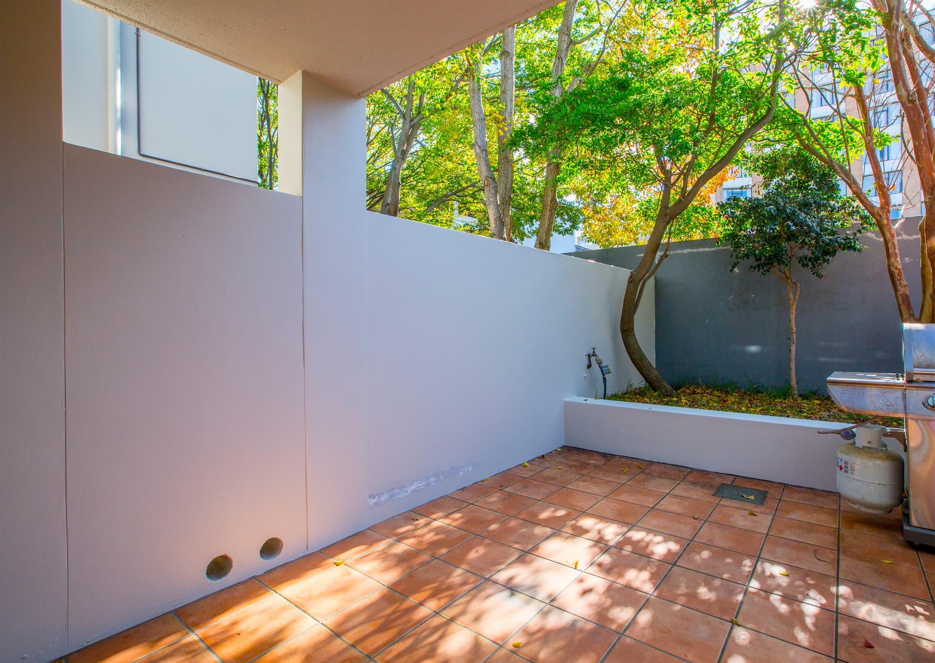 5/36 Briggs Street, Camperdown NSW