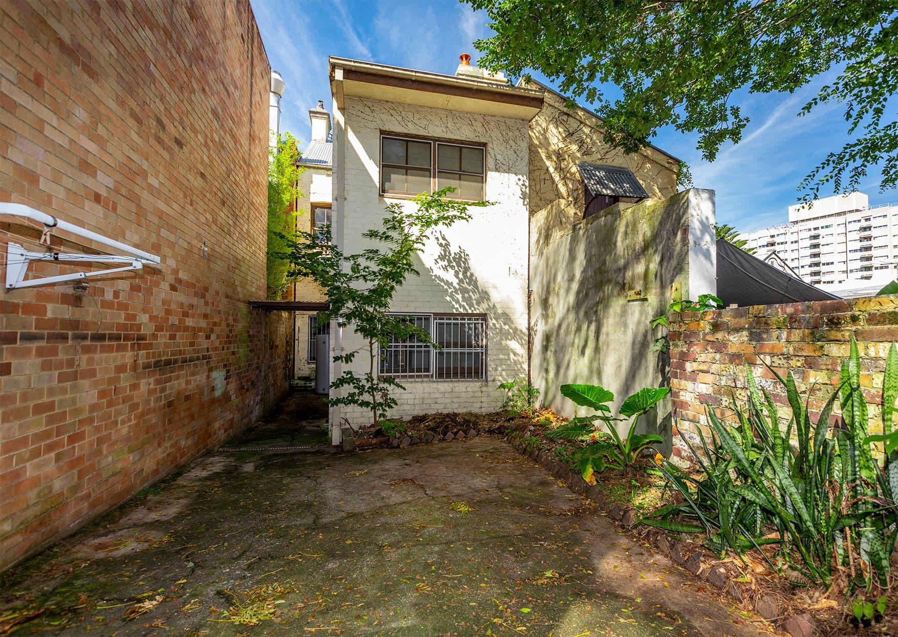 69 Raglan Street, Waterloo NSW