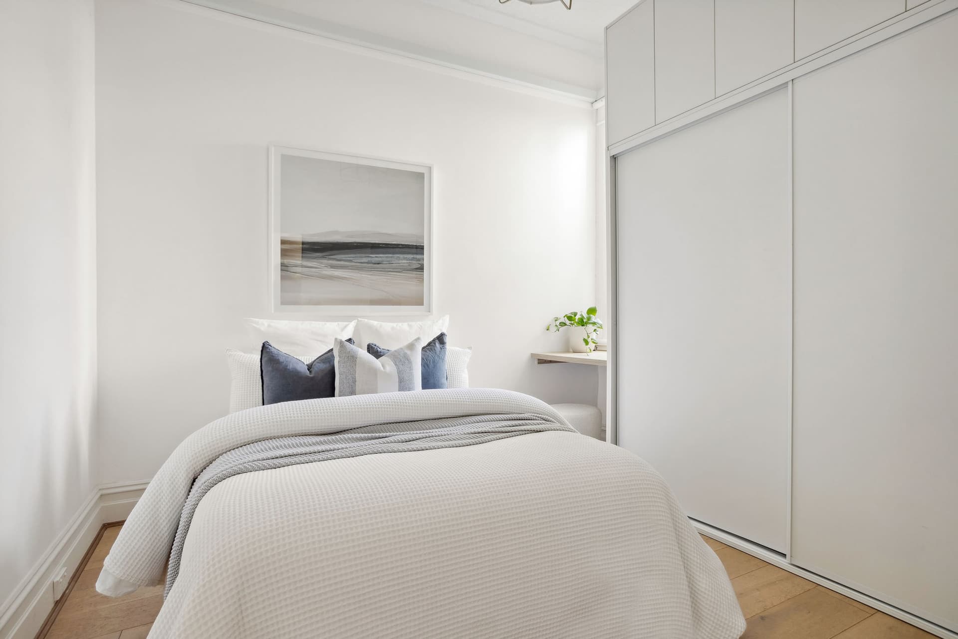 59 Ferris Street, Annandale NSW