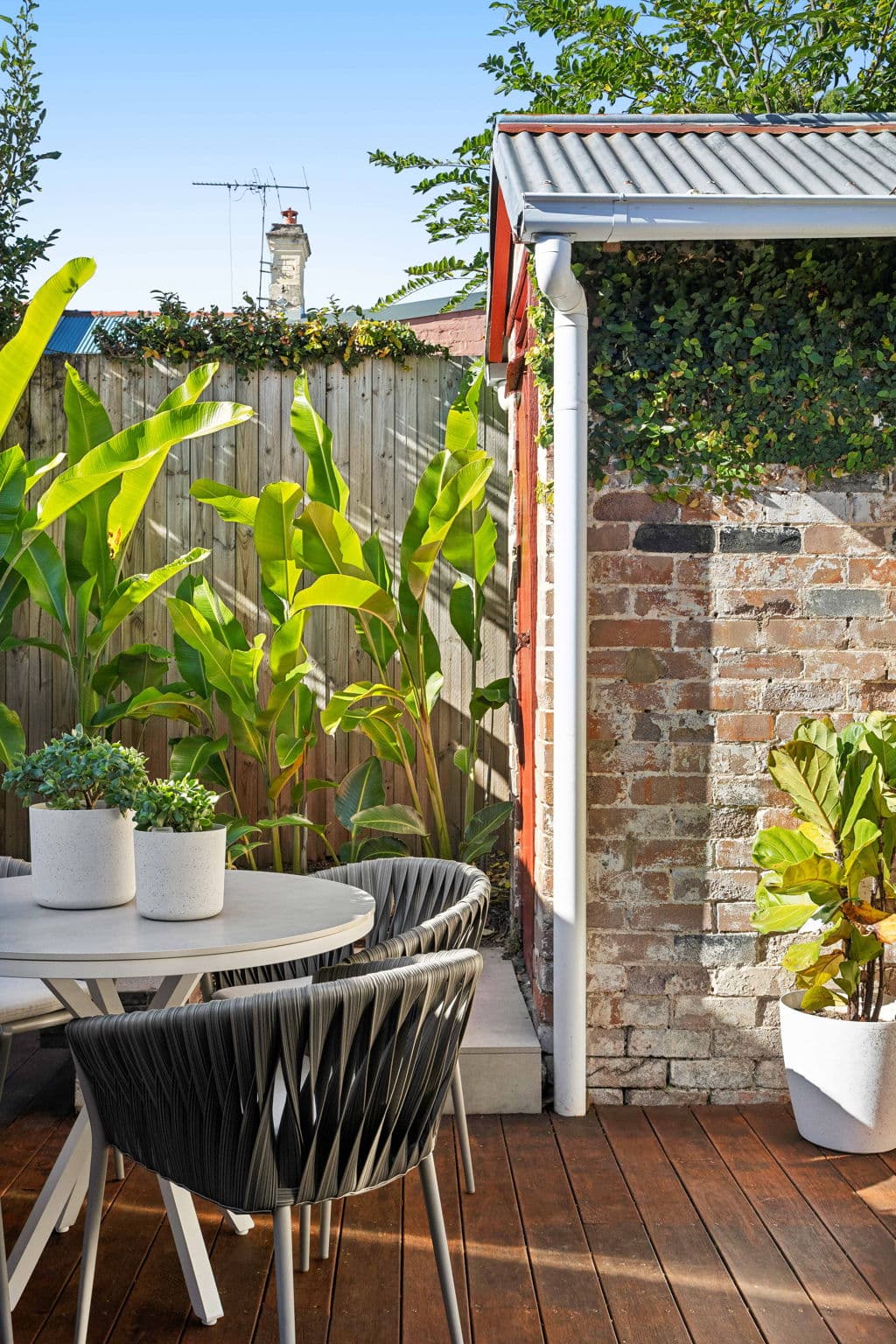 59 Ferris Street, Annandale NSW