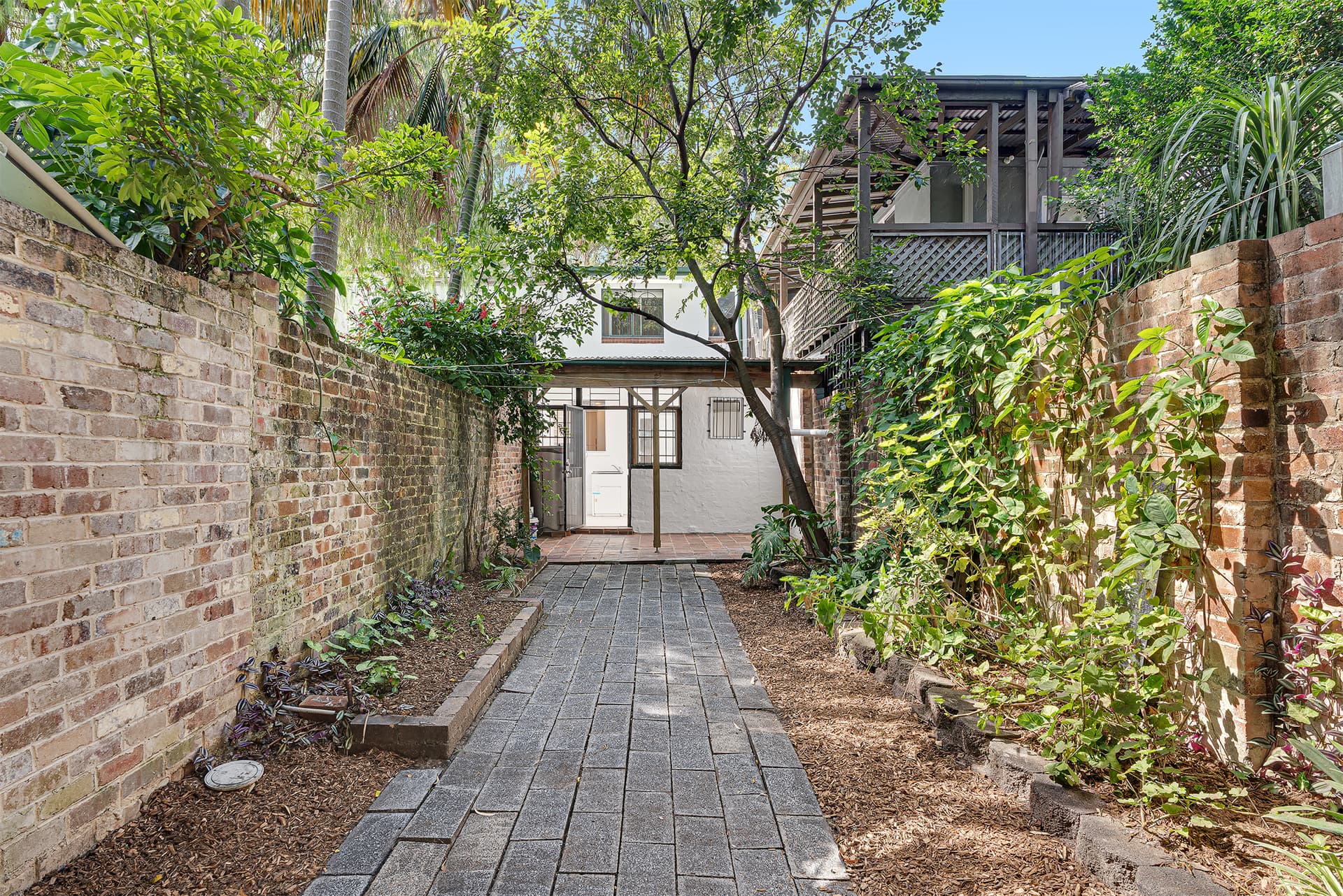 19 Ivy Street, Darlington NSW