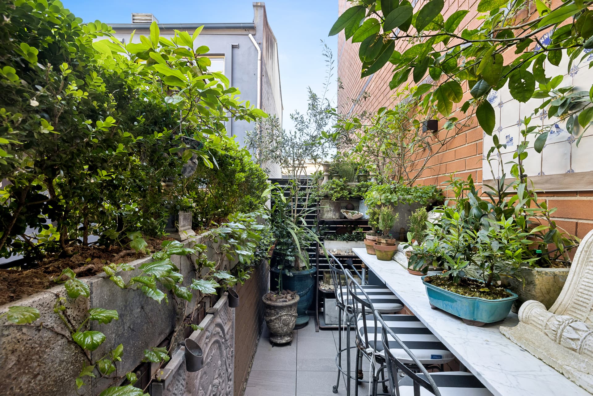 11/67-69 Macleay Street, Potts Point NSW