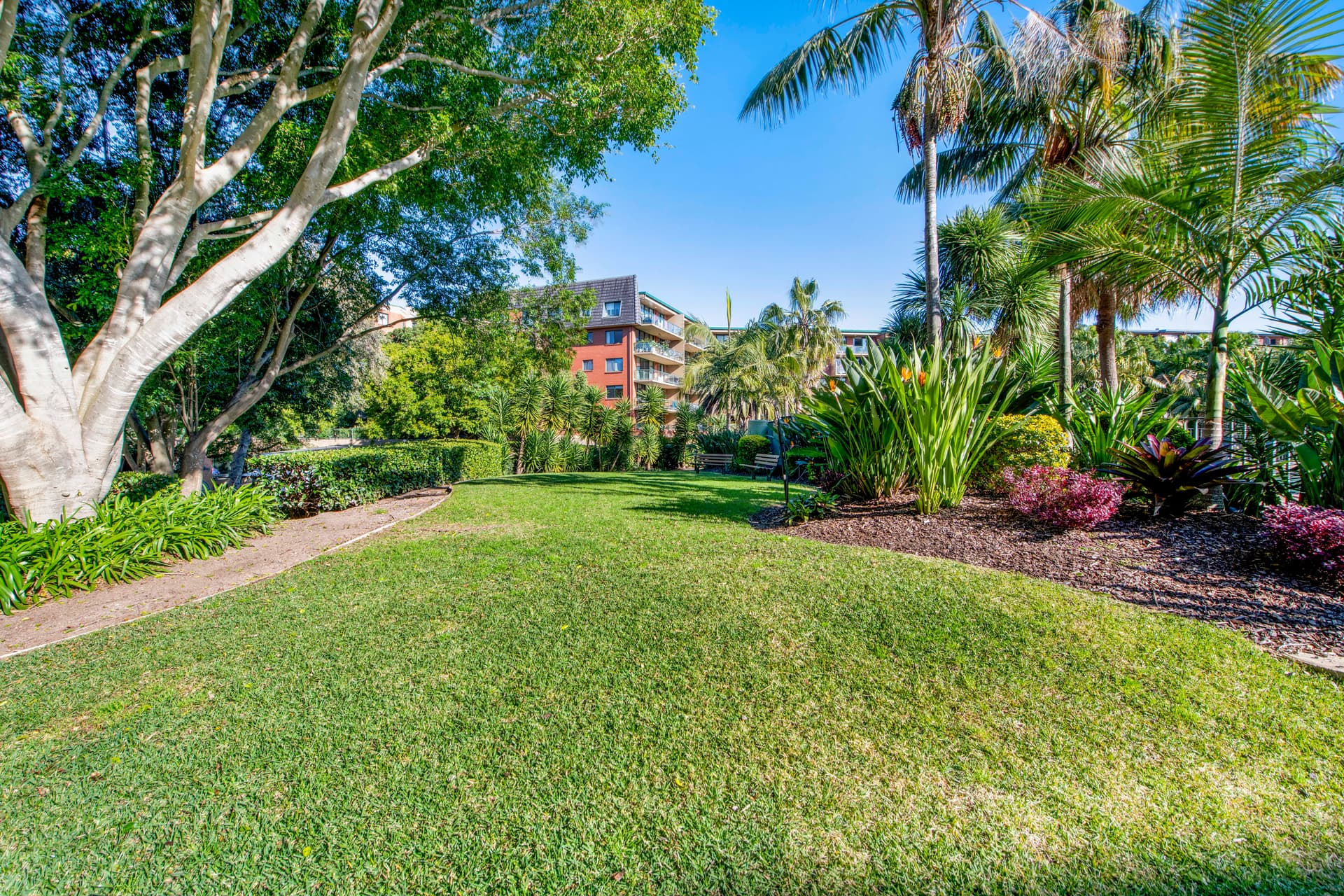 17309/177-219 Mitchell Road, Erskineville NSW