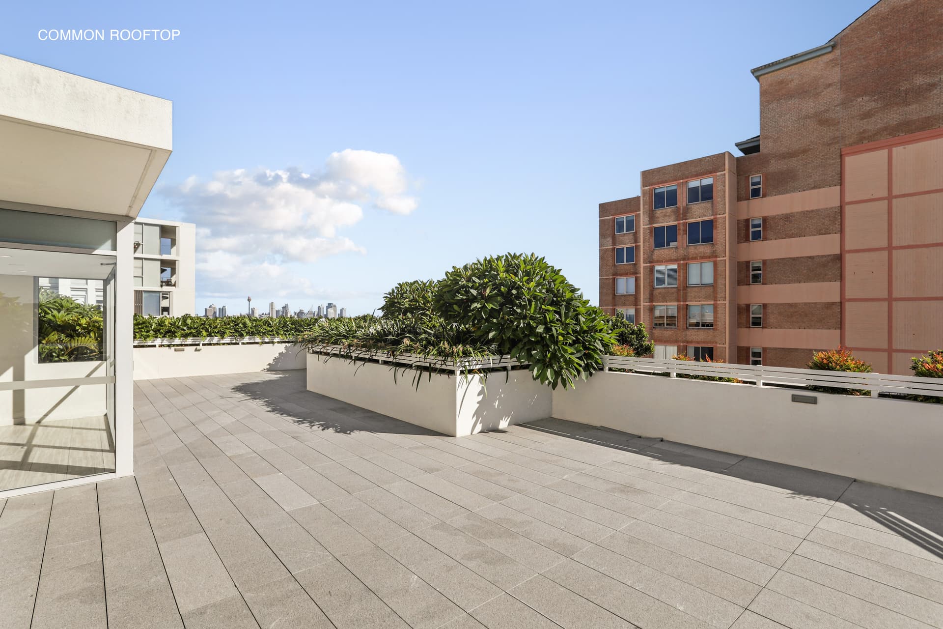 101/350 Oxford Street, Bondi Junction NSW