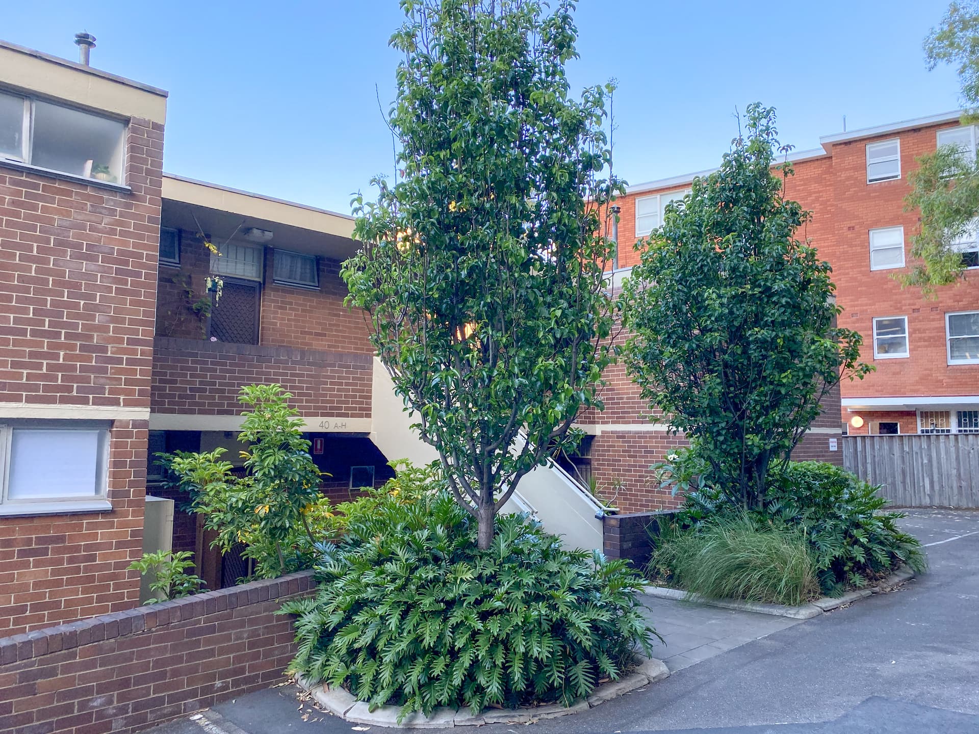 B/40 Stephen Street, Paddington NSW