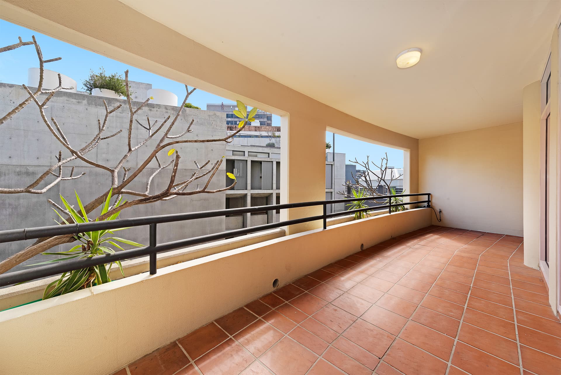 36/450 Elizabeth Street, Surry Hills NSW