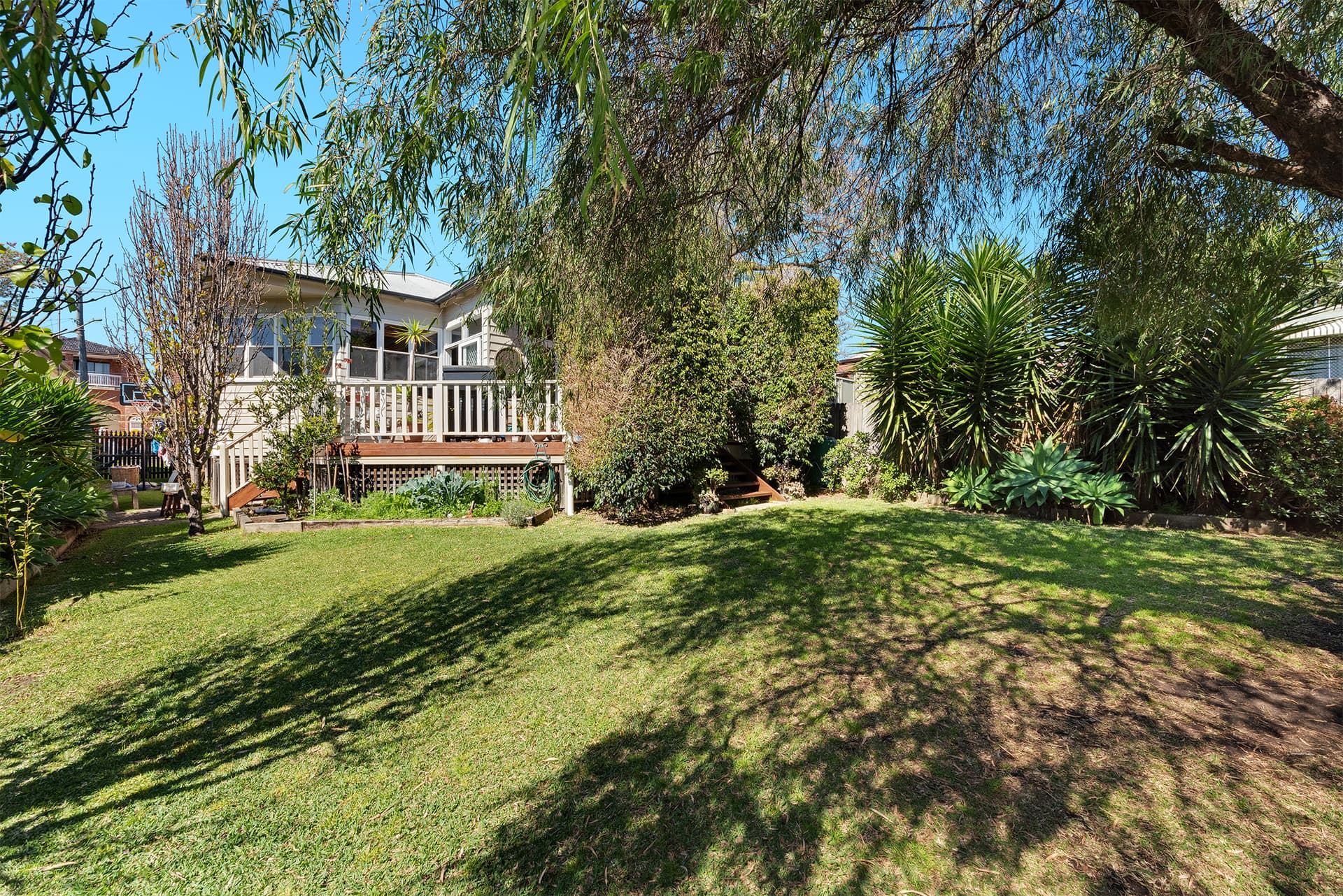 28 Cameron Street, Bexley NSW