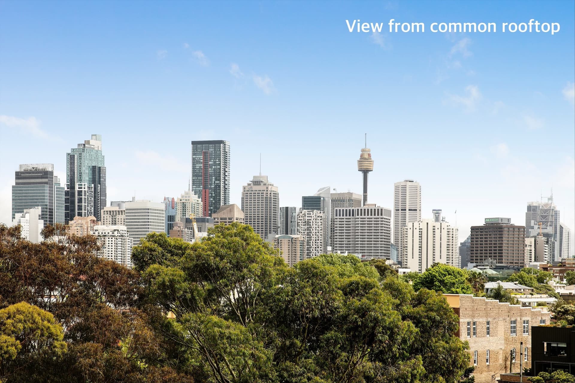 71/679 Bourke Street, Surry Hills NSW