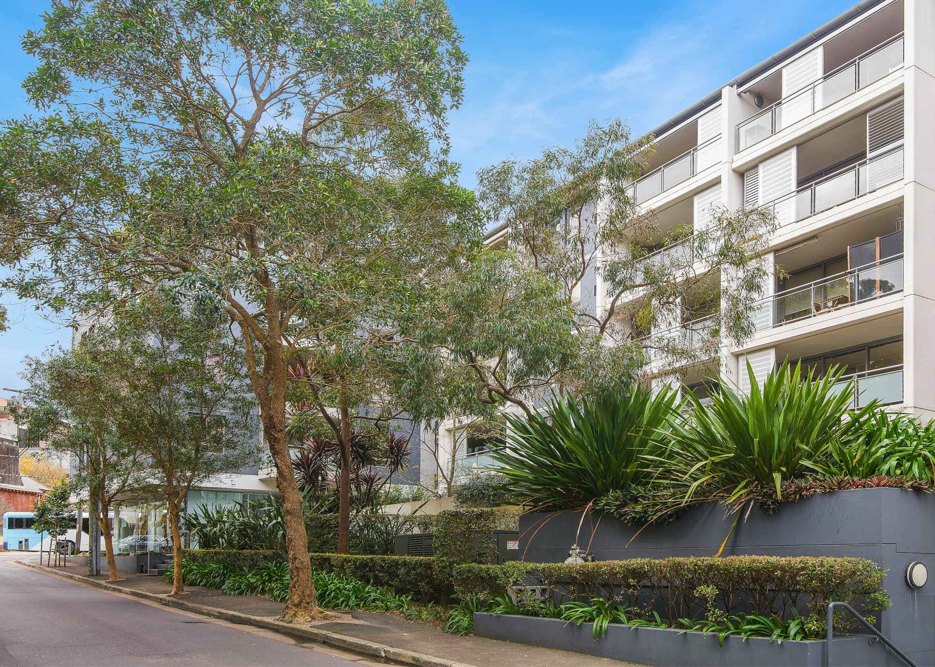 408/209 Albion Street, Surry Hills NSW