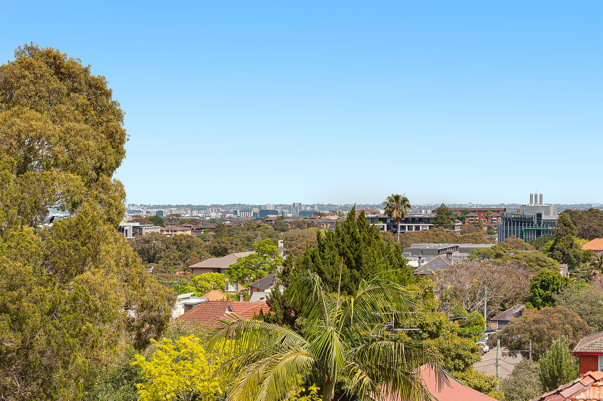 3/5 Hardiman Avenue, Randwick NSW