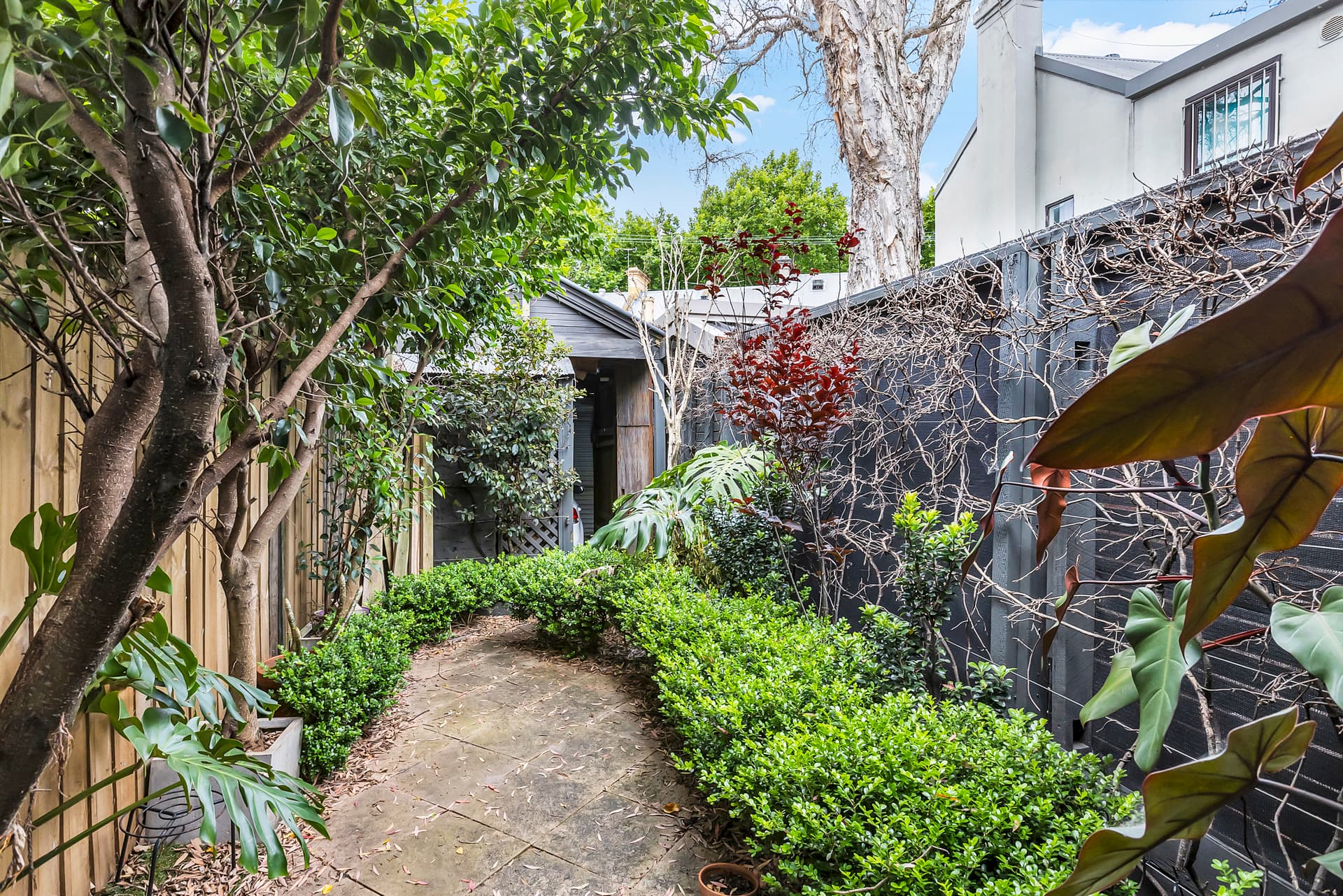 38 Chisholm Street, Darlinghurst NSW