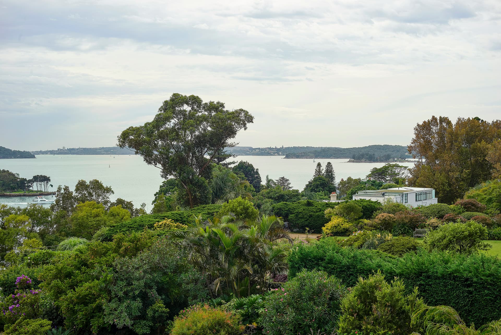 3A/13 Thornton Street, Darling Point NSW