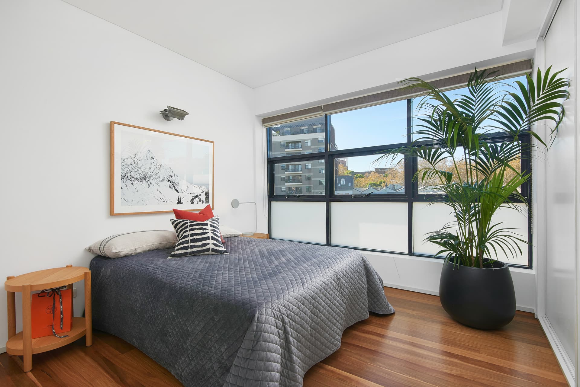 603/24-38 Bellevue Street, Surry Hills NSW