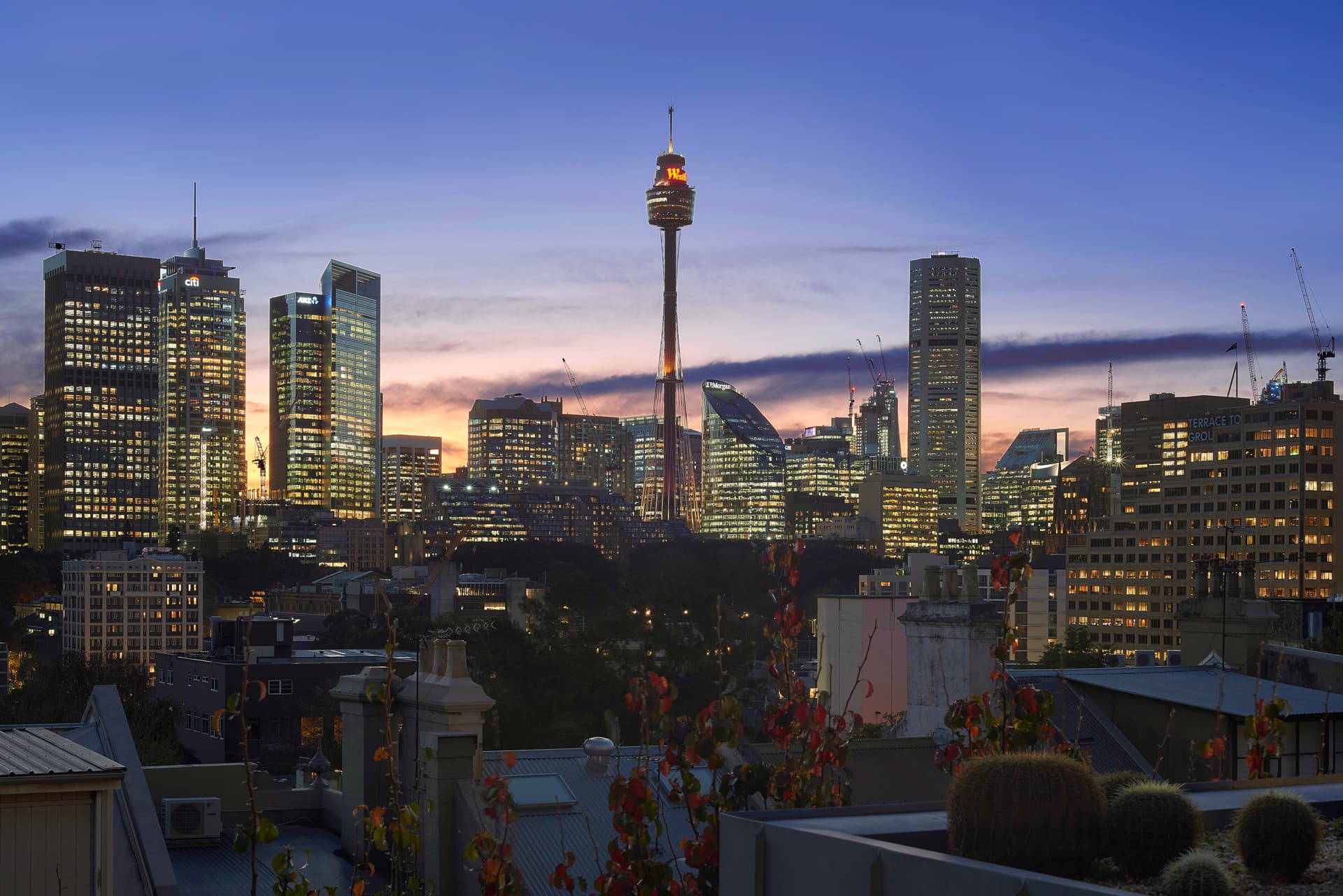 239 Forbes Street, Darlinghurst NSW