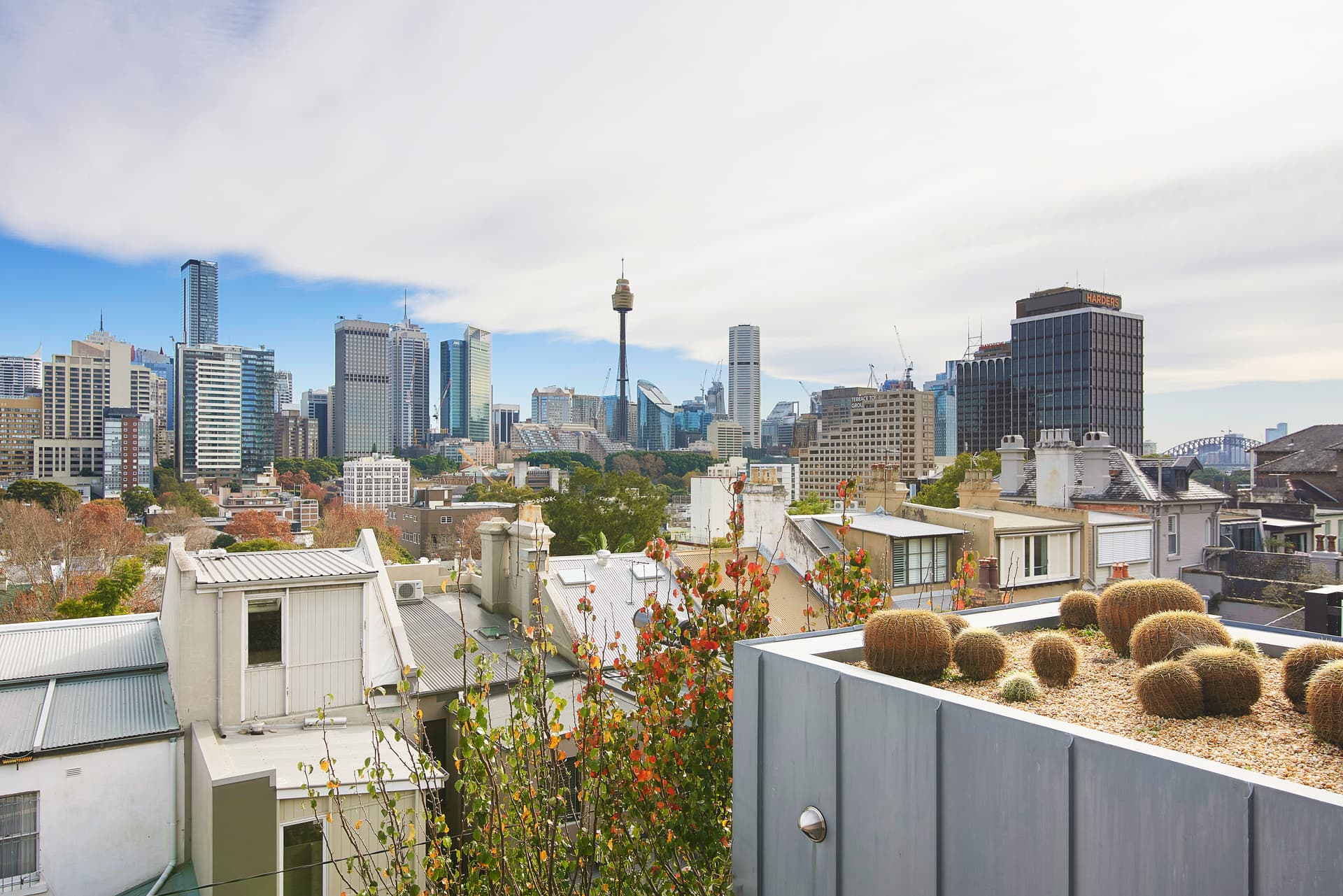 239 Forbes Street, Darlinghurst NSW