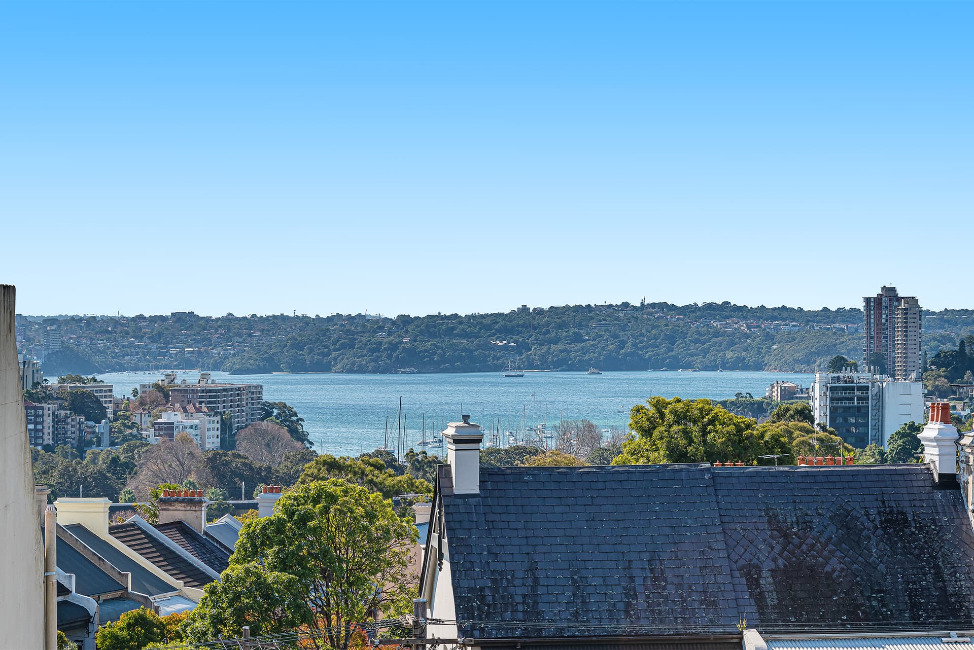 20/8 Bennetts Grove Avenue, Paddington NSW