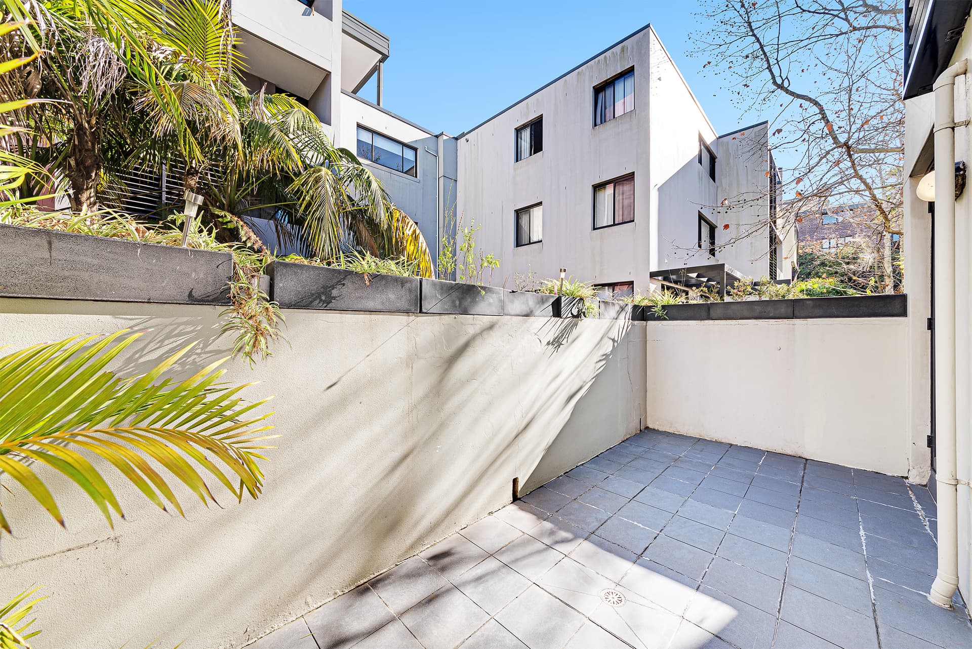 4/11-21 Rose Street, Chippendale NSW