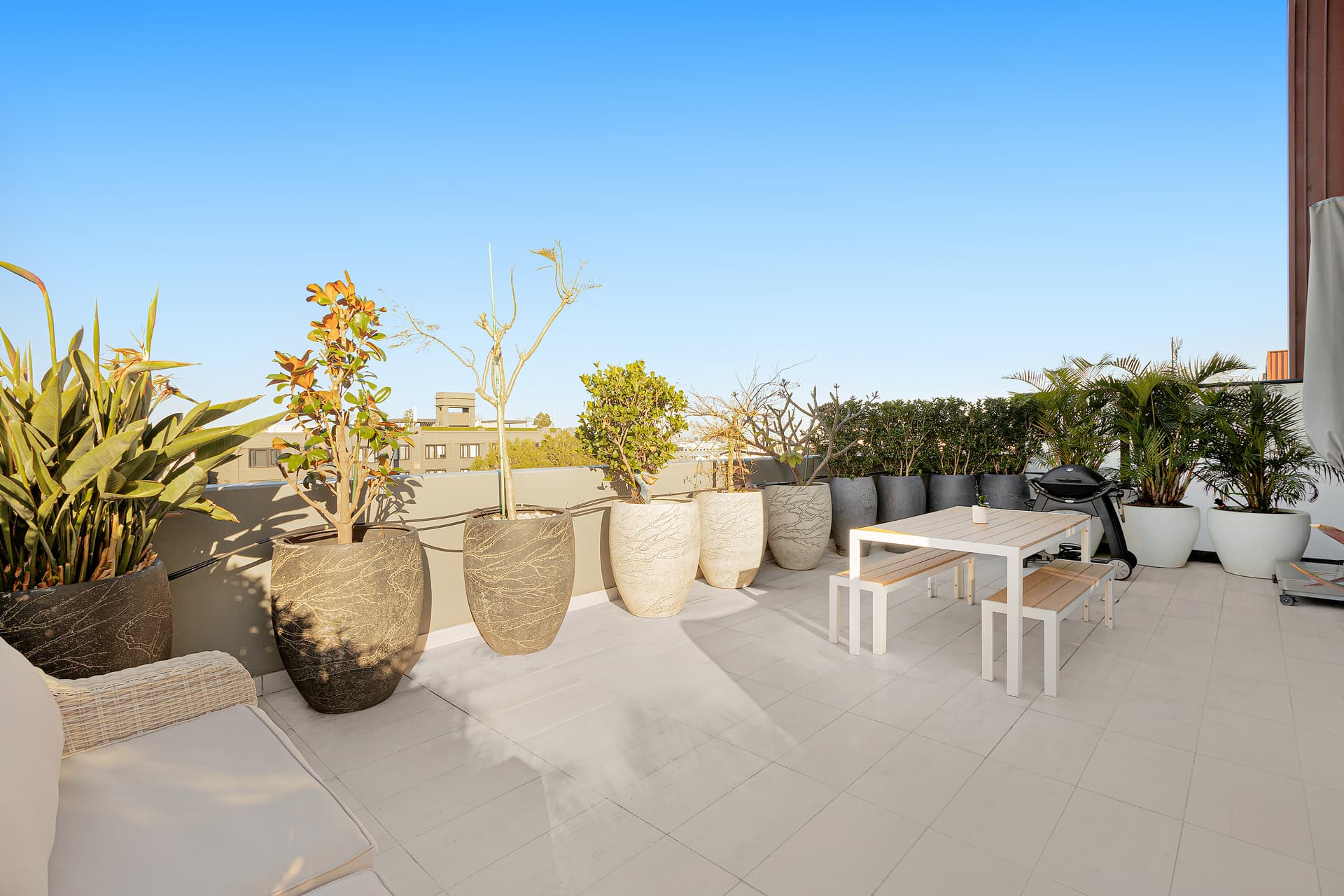 542/11 Rosebery Avenue, Rosebery NSW